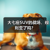 大七座SUV的战场，规则变了吗？