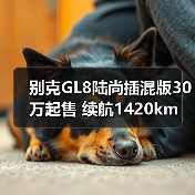 别克GL8陆尚插混版30万起售 续航1420km 竞品分析(图4) 别克GL8陆尚插混版30万起售 续航1420km 竞品分析(图4)