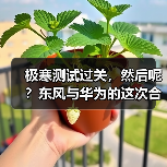 极寒测试过关，然后呢？东风与华为的这次合作不简单