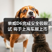 荣威D6完成安全极限测试 将于上海车展上市 续航(图4) 荣威D6完成安全极限测试 将于上海车展上市 续航(图4)